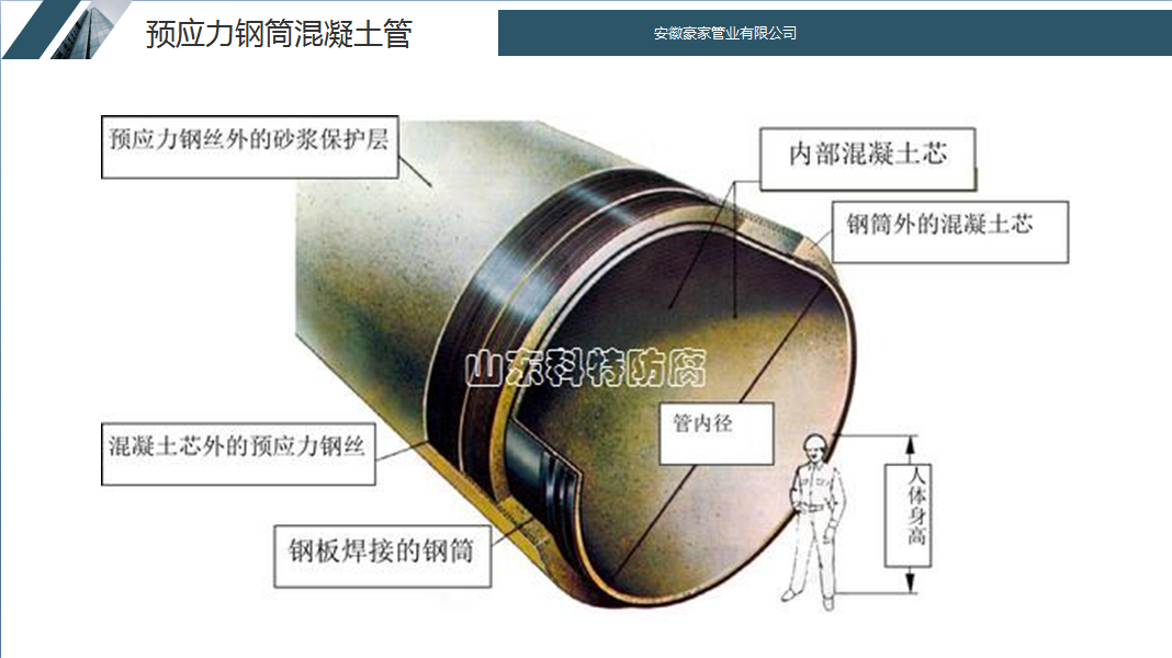 尊龙凯时官网--首页登录入口